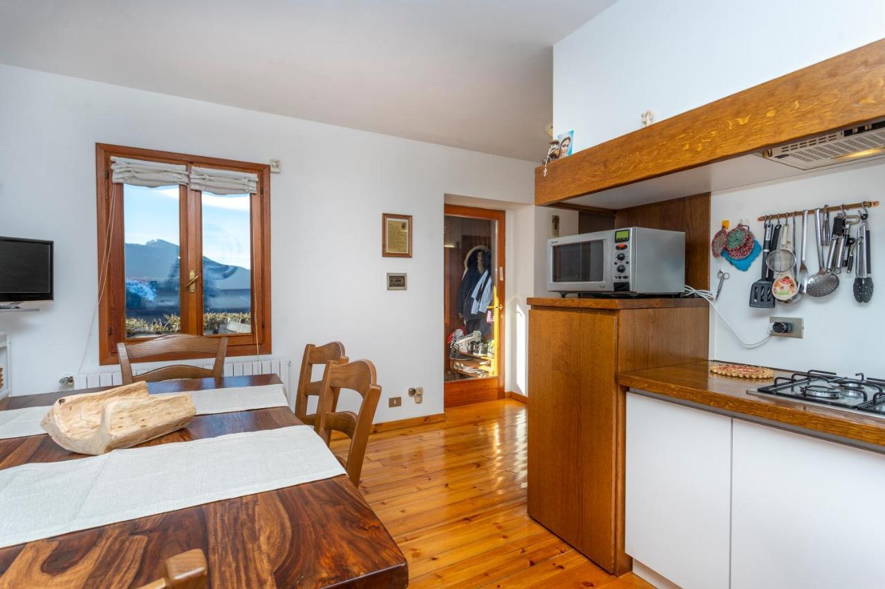 Villa Panoramic House Carnia - Mountain View Apt With Parking And Terraces Ligosullo Exterior foto